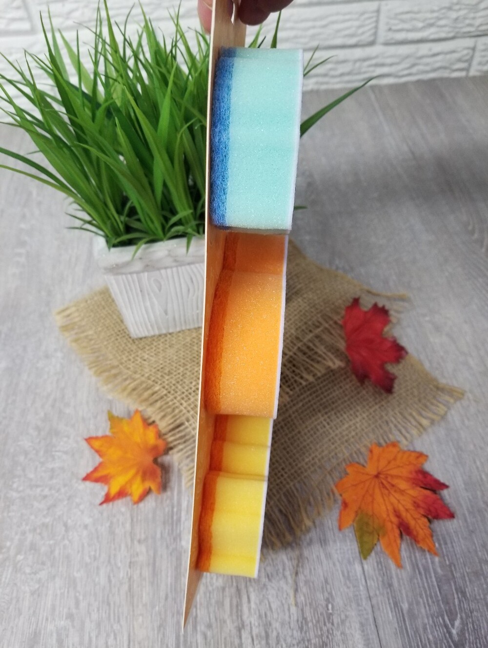 Autumn Themed Sponge Set - Picture 3 of 5
